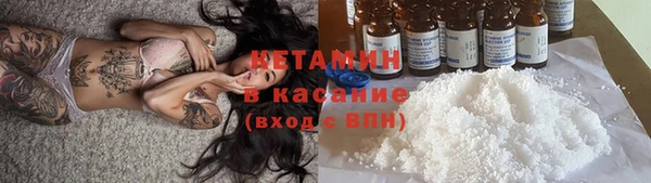 сатива Заволжье