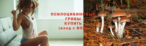 прущая мука Заволжск