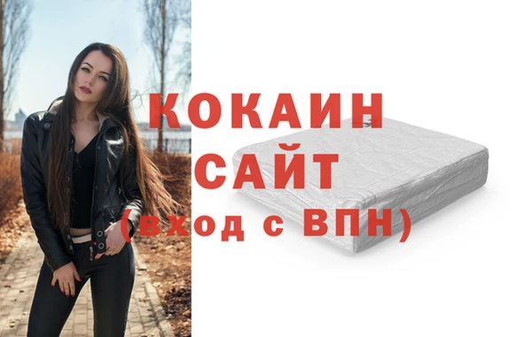 сатива Заволжье
