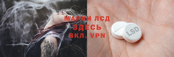 сатива Заволжье