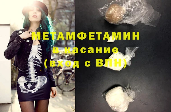 сатива Заволжье