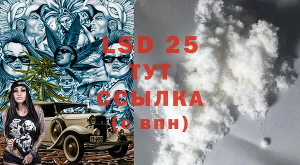сатива Заволжье
